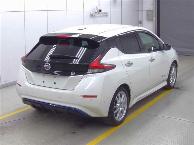 2019 Nissan Leaf 40kWh G ZE1