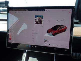 2020 Tesla Model 3 Performance