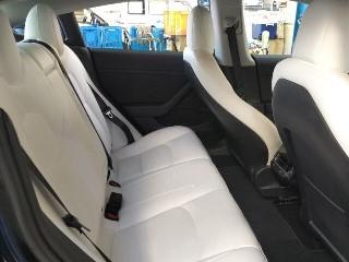 2021 Tesla Model 3 60kWh RWD LFP - Refresh