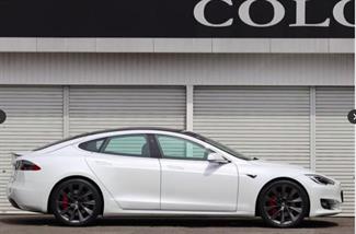 2019 Tesla Model S Performance Ludicrous Raven